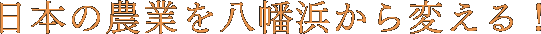 日本の農業を八幡浜から変える！
